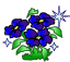:blueflowers: